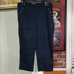 Zac & Rachel Navy Stretch Skirt